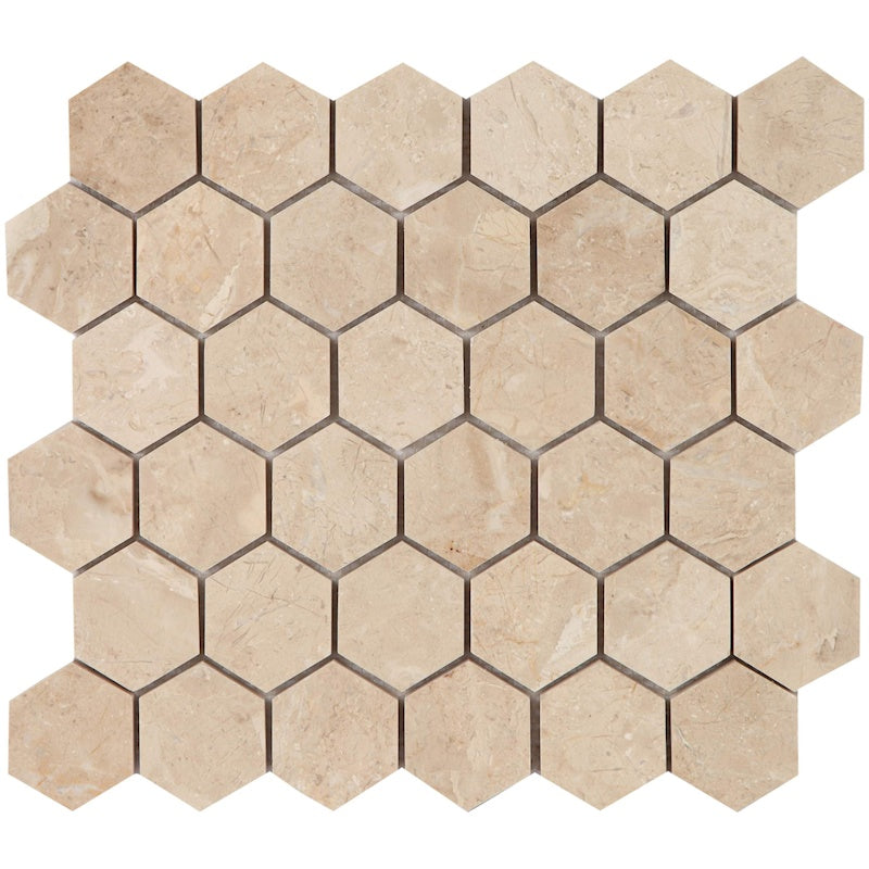 4,8x1 cm Beige Polished Hexagon Mosaic